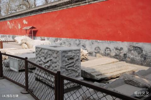 北京历代帝王庙旅游攻略 之 残存古碑