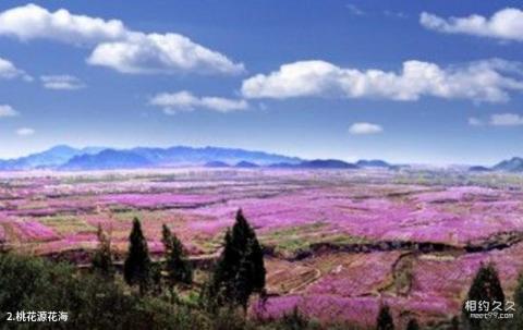 北京平谷桃花海景区旅游攻略 之 桃花源花海