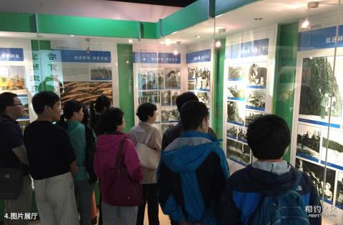 漠河图强林业博物馆旅游攻略 之 图片展厅