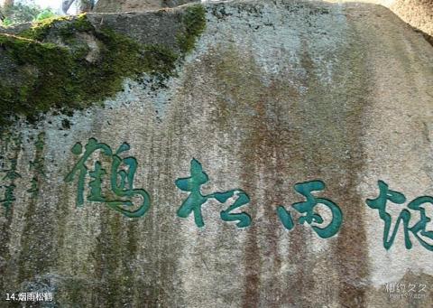 丽水太鹤山旅游攻略 之 烟雨松鹤