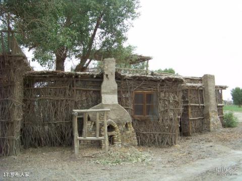 新疆罗布人村寨旅游攻略 之 罗布人家
