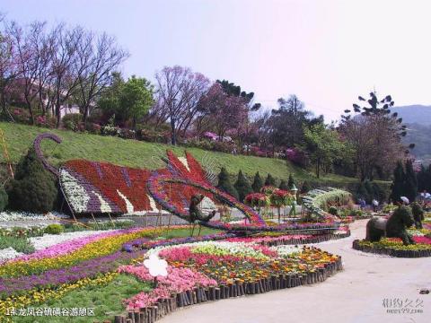 台北阳明山国家公园旅游攻略 之 龙凤谷硫磺谷游憩区