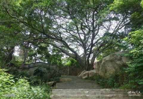 福建宿燕寺旅游攻略 之 上山台阶