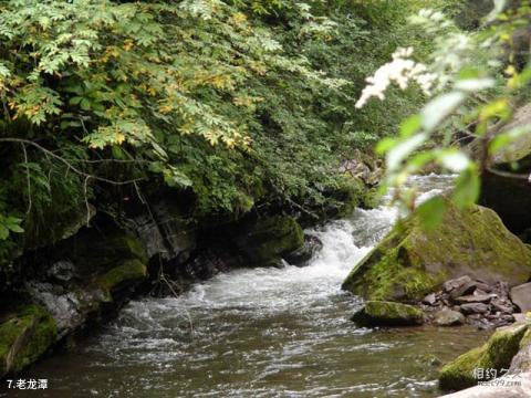 宁夏六盘山旅游区旅游攻略 之 老龙潭