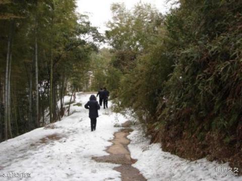 桃花江竹海旅游区旅游攻略 之 山顶游览道