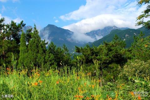 信阳市黄柏山国家森林公园旅游攻略 之 黄花岭