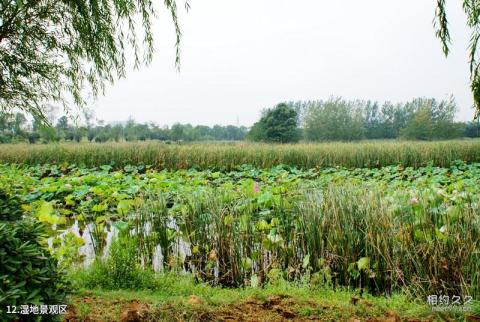 合肥蜀山森林公园旅游攻略 之 湿地景观区