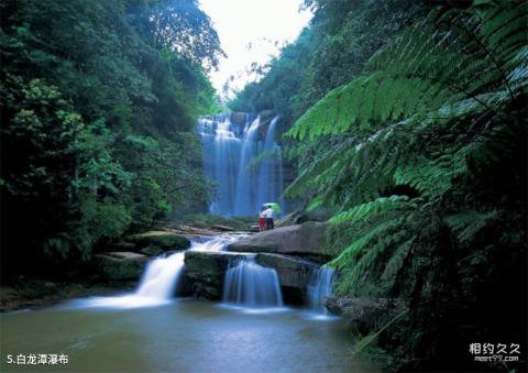 贵州赤水四洞沟景区旅游攻略 之 白龙潭瀑布