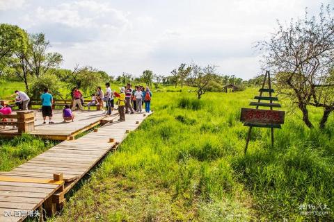 哈尔滨金河湾湿地植物园旅游攻略 之 百亩塔头