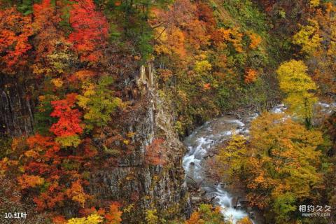 山西灵石红崖峡谷旅游攻略 之 红叶