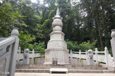 庐江冶父山国家森林公园旅游攻略 之 墓塔