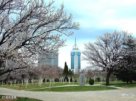 大连市劳动公园旅游攻略 之 初冬景致