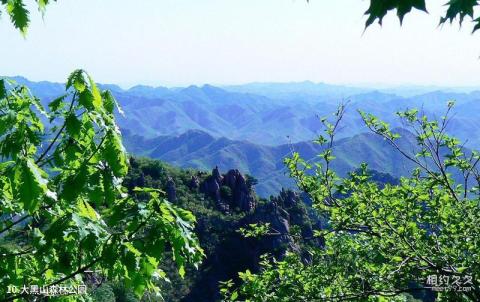 大连大黑山风景区旅游攻略 之 大黑山森林公园