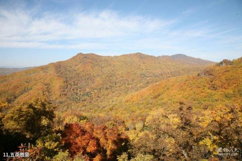 森工清河林区旅游景区旅游攻略 之 五花胜景