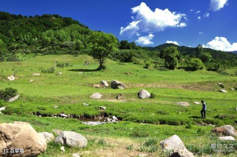 山西庞泉沟国家级自然保护区旅游攻略 之 百草坡