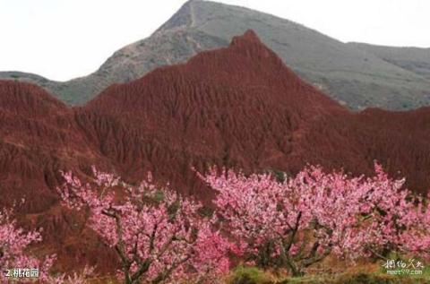 青海民和桃花园林旅游攻略 之 桃花园