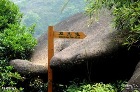 苍南石聚堂风景区旅游攻略 之 双头龟