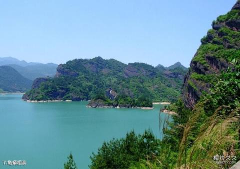 九仙湖风景区旅游攻略 之 龟蟒相亲