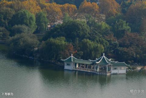 上海长风公园长风海洋世界景区旅游攻略 之 青枫岛