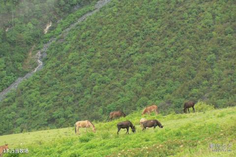 巴拉格宗香格里拉大峡谷旅游攻略 之 乃当牧场