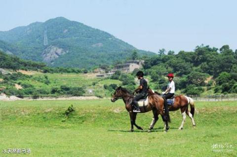 长乐九龙山庄旅游攻略 之 天然跑马场