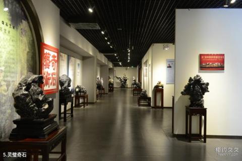 宿州市博物馆旅游攻略 之 灵璧奇石