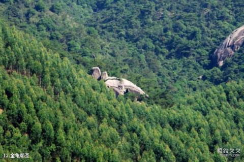 潮州紫莲森林度假景区旅游攻略 之 金龟朝圣