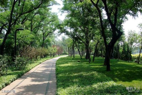 天津绿道公园旅游攻略 之 铁轨步道