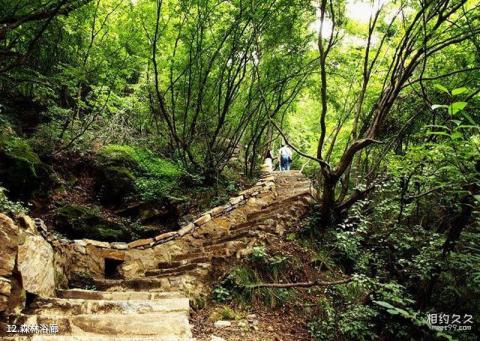 壶关太行大峡谷红豆峡旅游攻略 之 森林浴廊