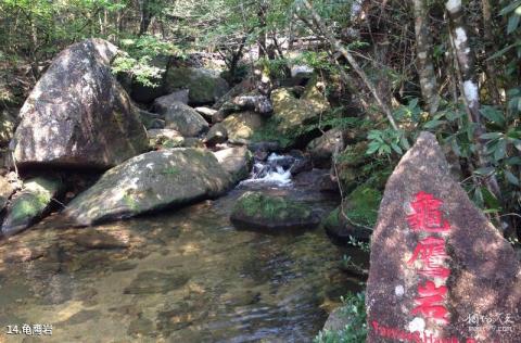 武夷山龙川大峡谷旅游攻略 之 龟鹰岩