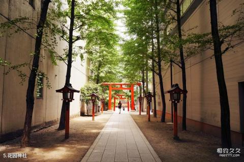 东京新宿旅游攻略 之 花园神社