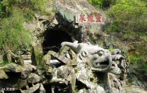 宁波保国寺旅游攻略 之 灵龙泉