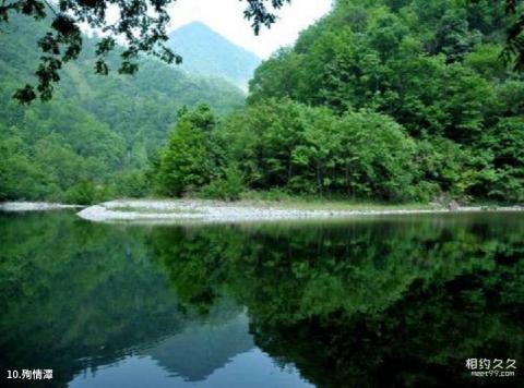 康县阳坝旅游攻略 之 殉情潭