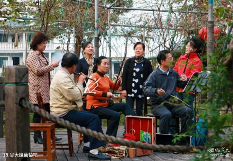 舟山马岙旅游区旅游攻略 之 吴大姐葡萄吧