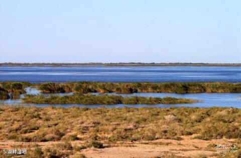 福海乌伦古湖海滨旅游区旅游攻略 之 湖畔湿地