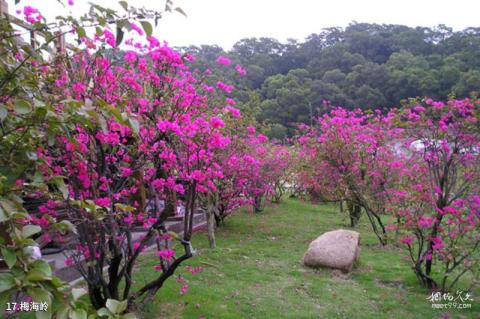 厦门万石山植物园旅游攻略 之 梅海岭