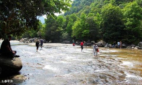 武夷山大安源旅游攻略 之 泰平洋