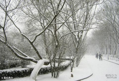 燕山大学校园风光 之 雪后燕大