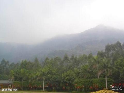 佛山西樵山风景区旅游攻略 之 自然山林区