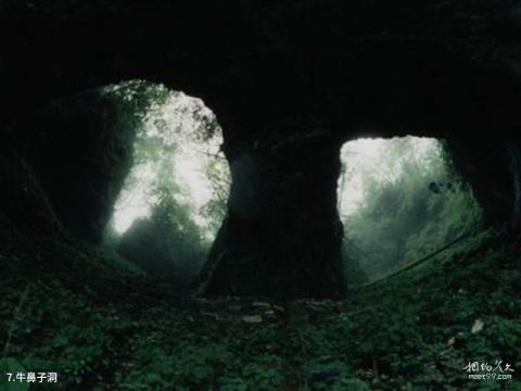 神农架天燕旅游区旅游攻略 之 牛鼻子洞