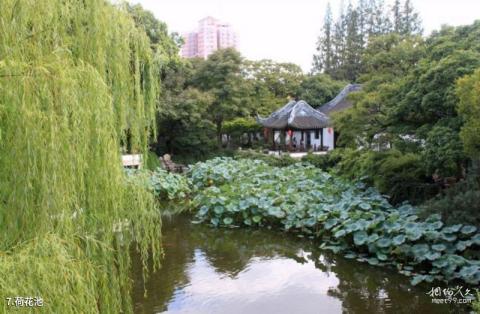 上海曲水园旅游攻略 之 荷花池