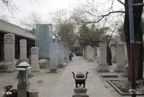 北京兴隆公园旅游攻略