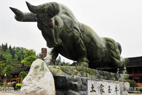 贵州亚木沟风景区旅游攻略 之 中国第一玉牛