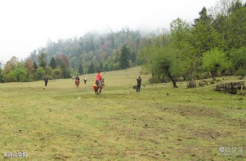 兰坪罗古箐风景区旅游攻略 之 高山草甸