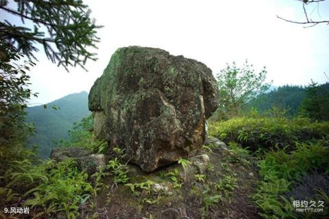 永嘉五星潭森林公园旅游攻略 之 风动岩