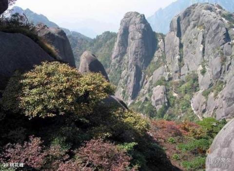 永康方岩风景名胜区旅游攻略 之 桃花峰