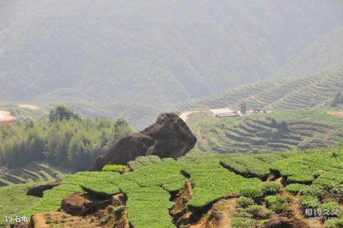 泉州紫云山风景区旅游攻略 之 石龟