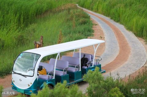 张掖国家湿地公园旅游攻略 之 观光车