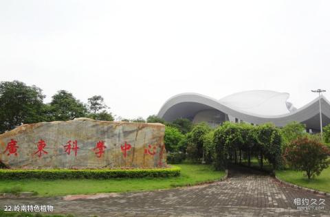 广州广东科学中心旅游攻略 之 岭南特色植物