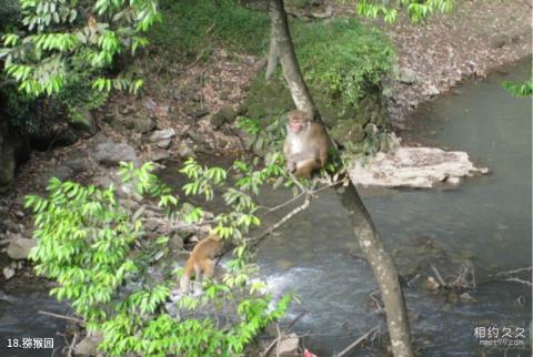 福州旗山国家森林公园旅游攻略 之 猕猴园